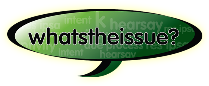 WhatsTheIssue logo